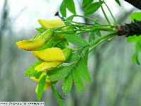 copyImage-11343146962554_841_260