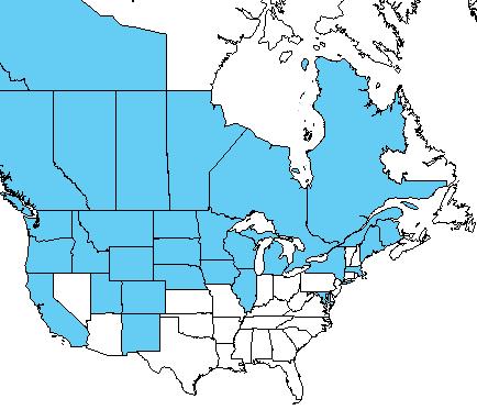 Screen shot 2015-03-13 at 12.27.11 PM