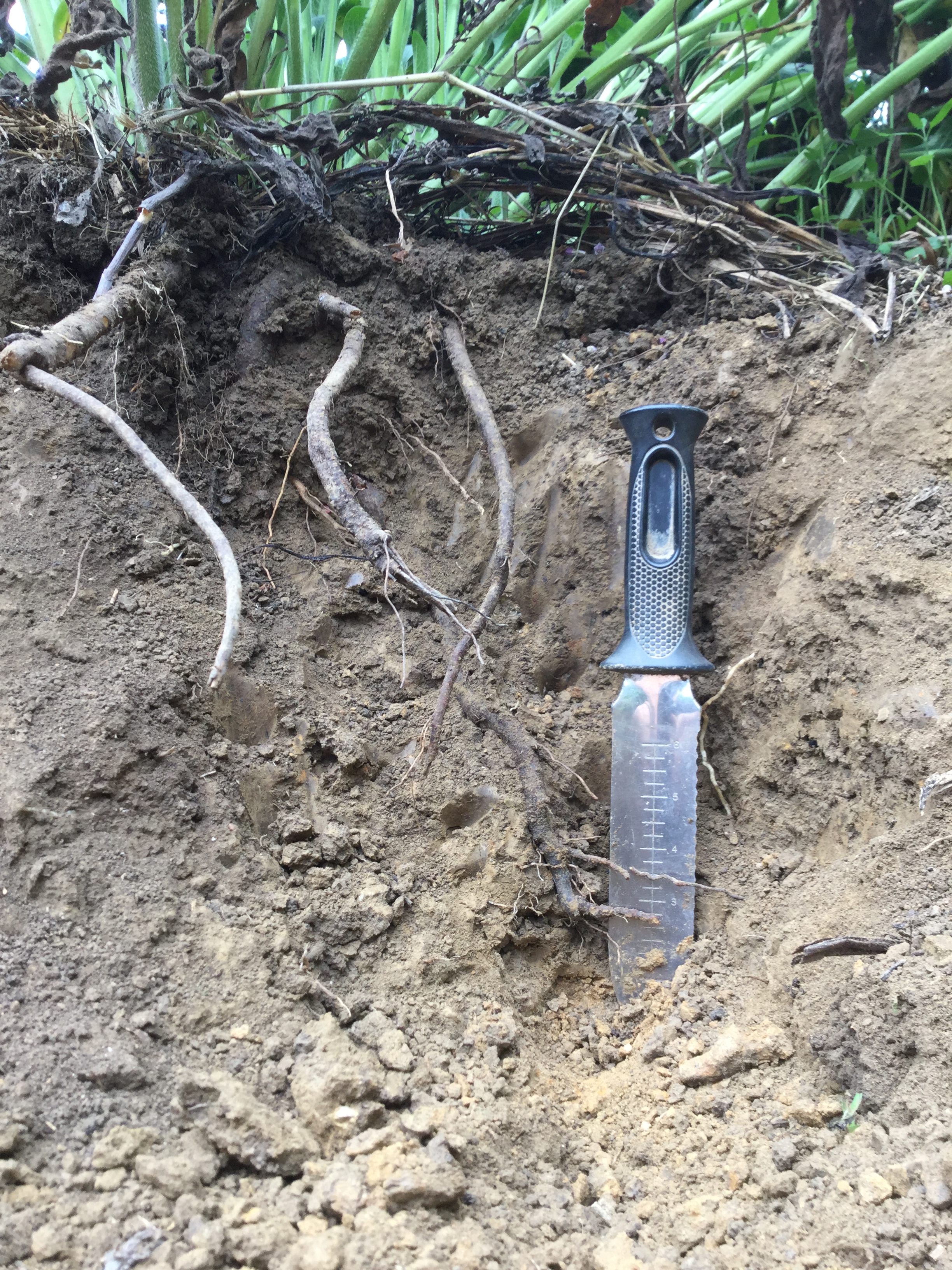 0CFE4F2F-4A09-4A08-8D8C-745E368C343A