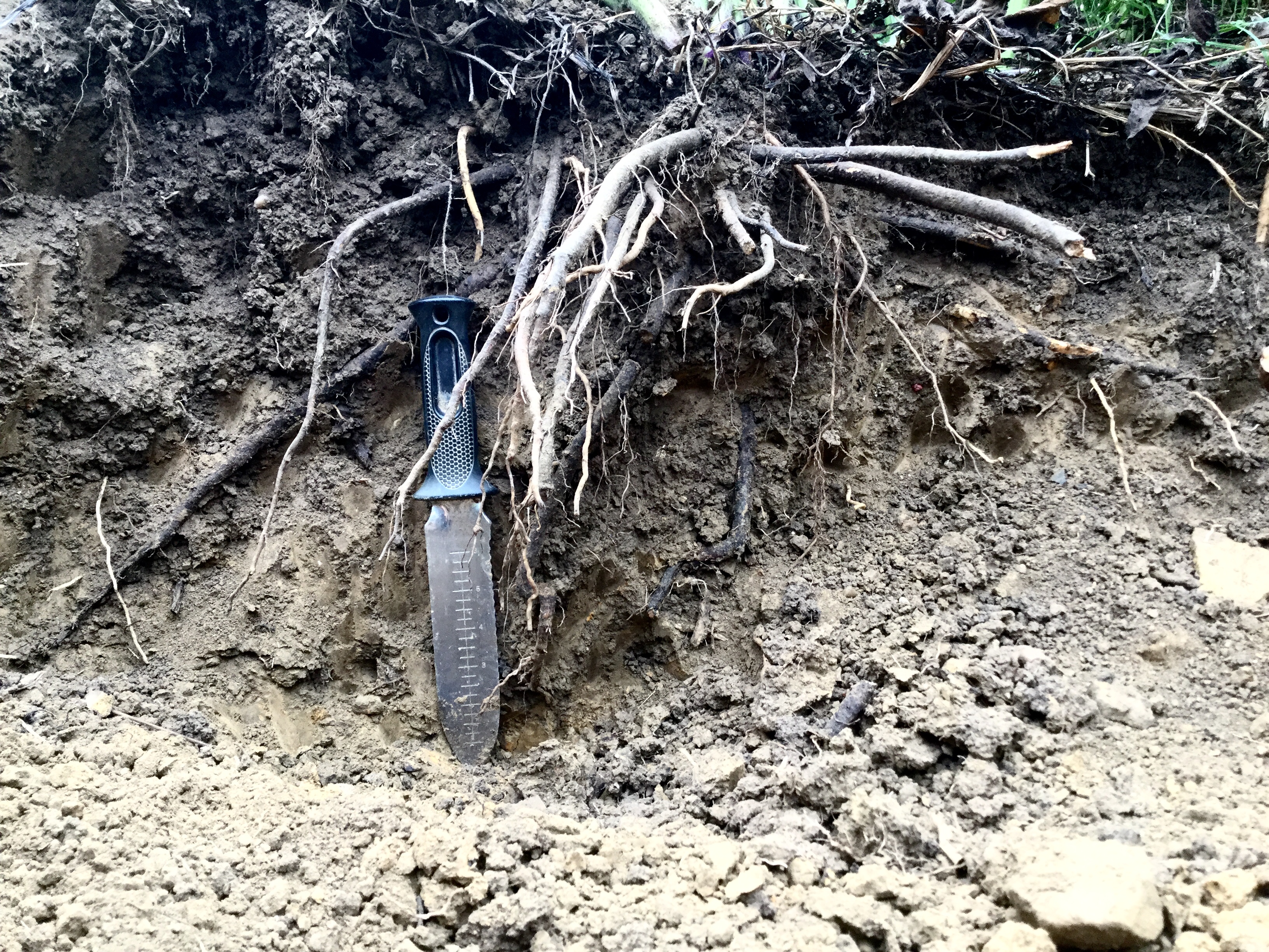 22F38E88-5301-4F1D-A099-D03425677523