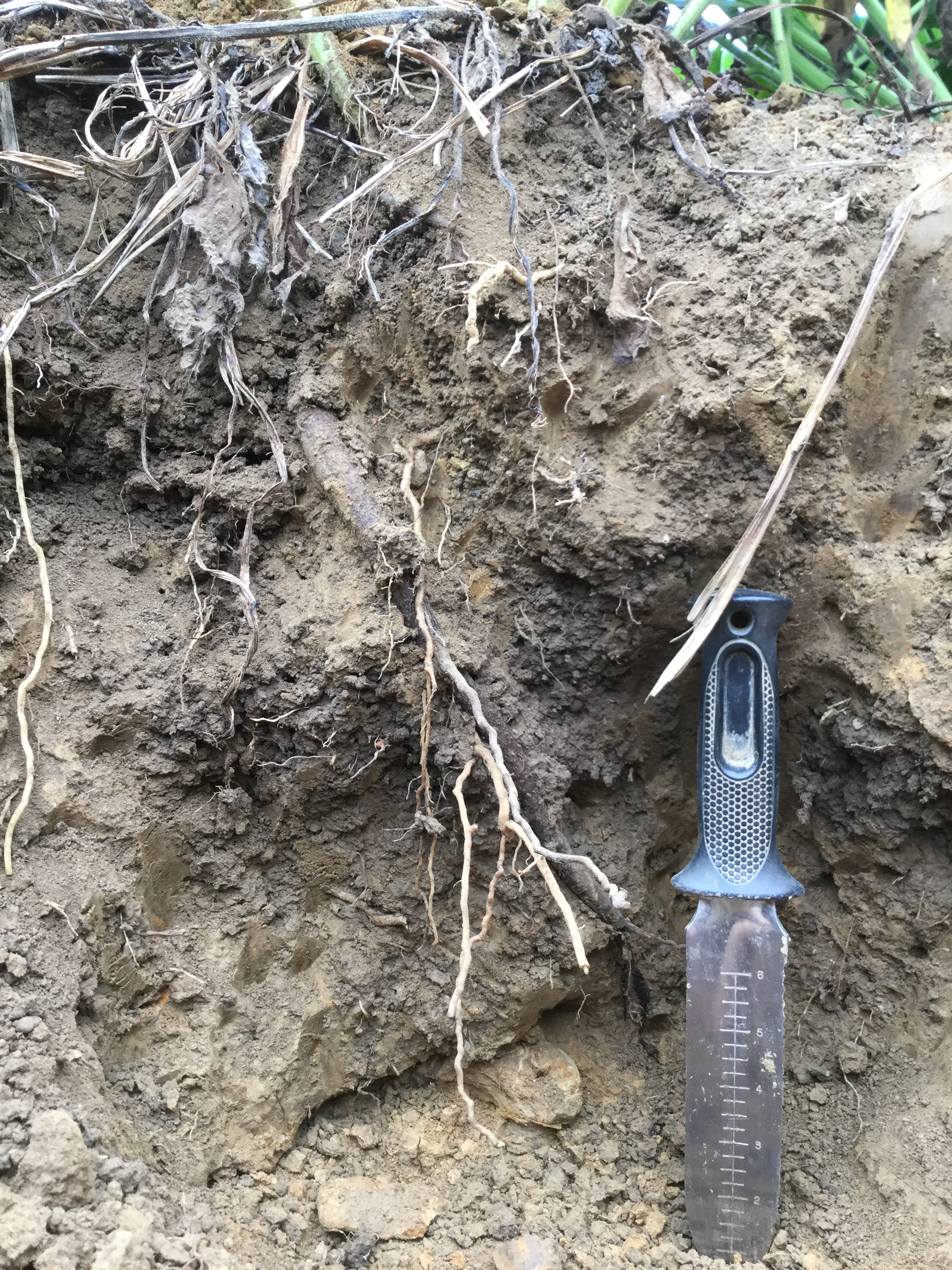 2D924709-15FF-4882-A840-401270C7765D