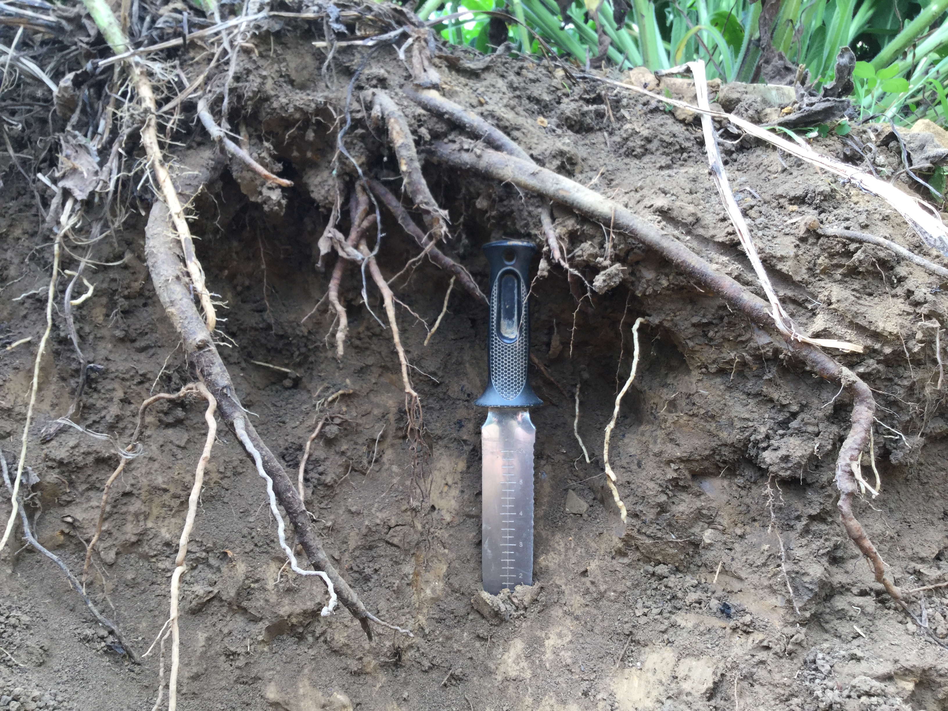 4C640909-BDBF-42CD-8786-7B14DCE0AA76