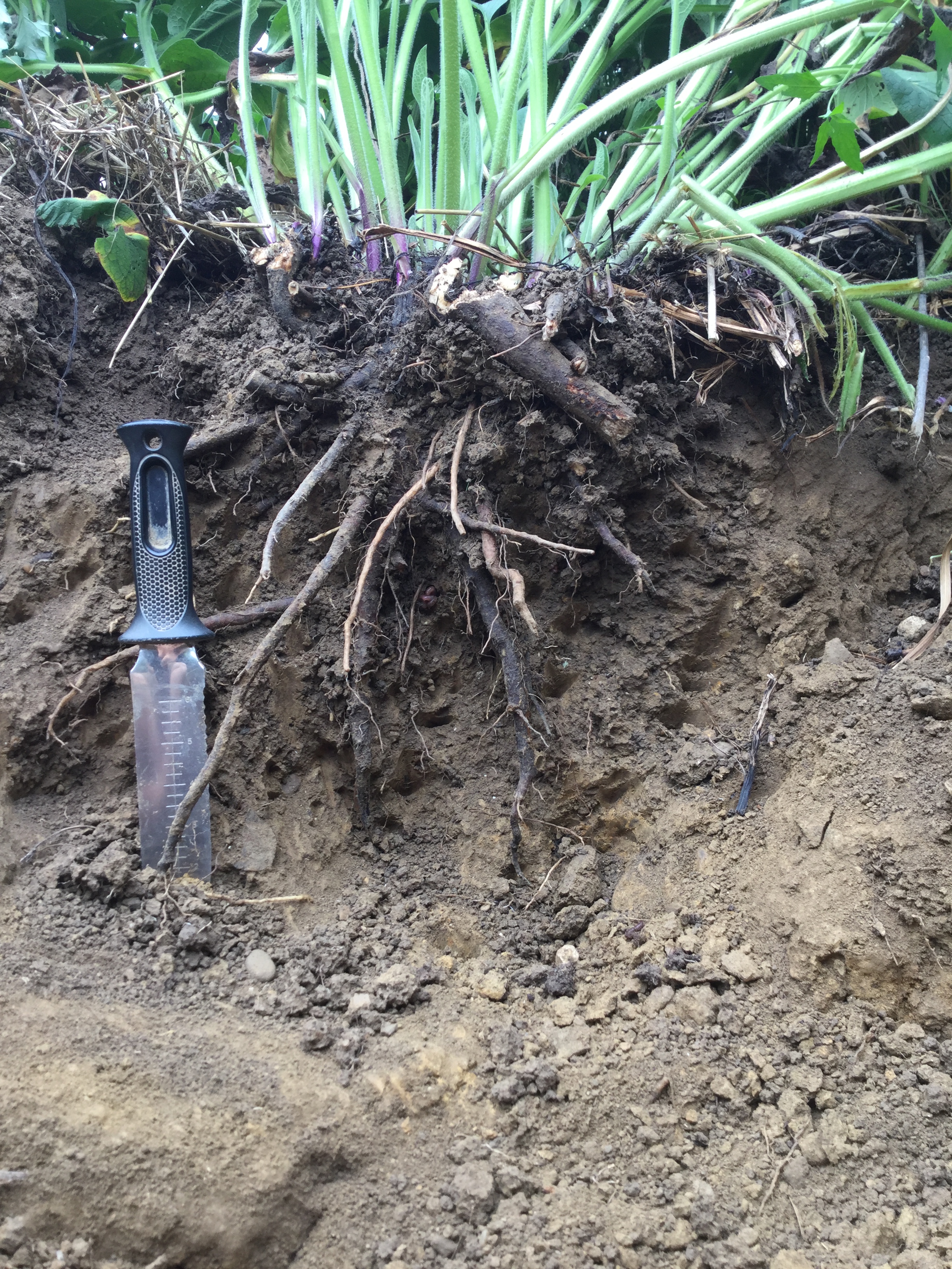 7D0EA9A9-53B3-44DD-B676-34A07D92988F