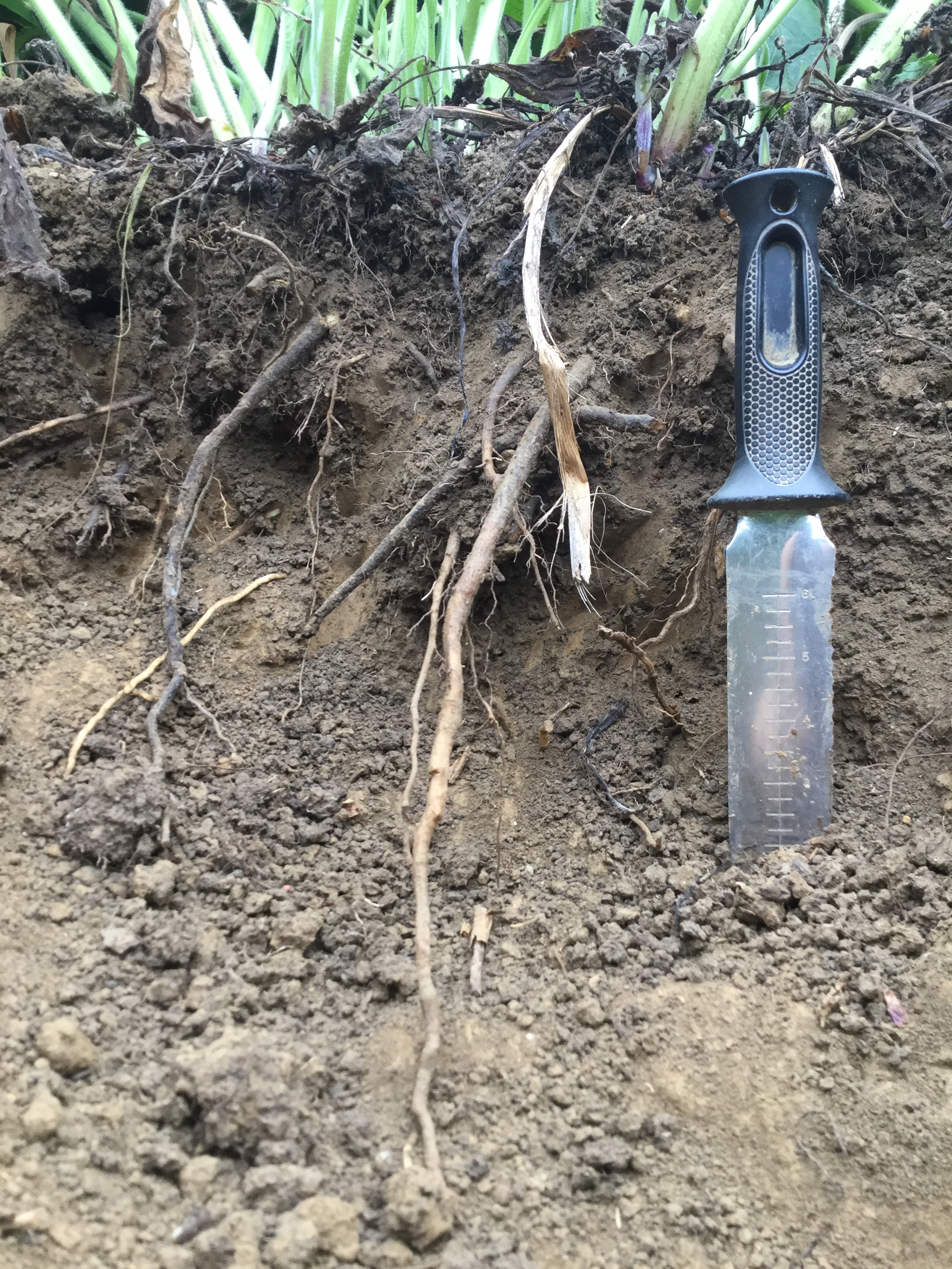 8CABE8C7-31EA-4C3F-9AA7-C27287D89DB4