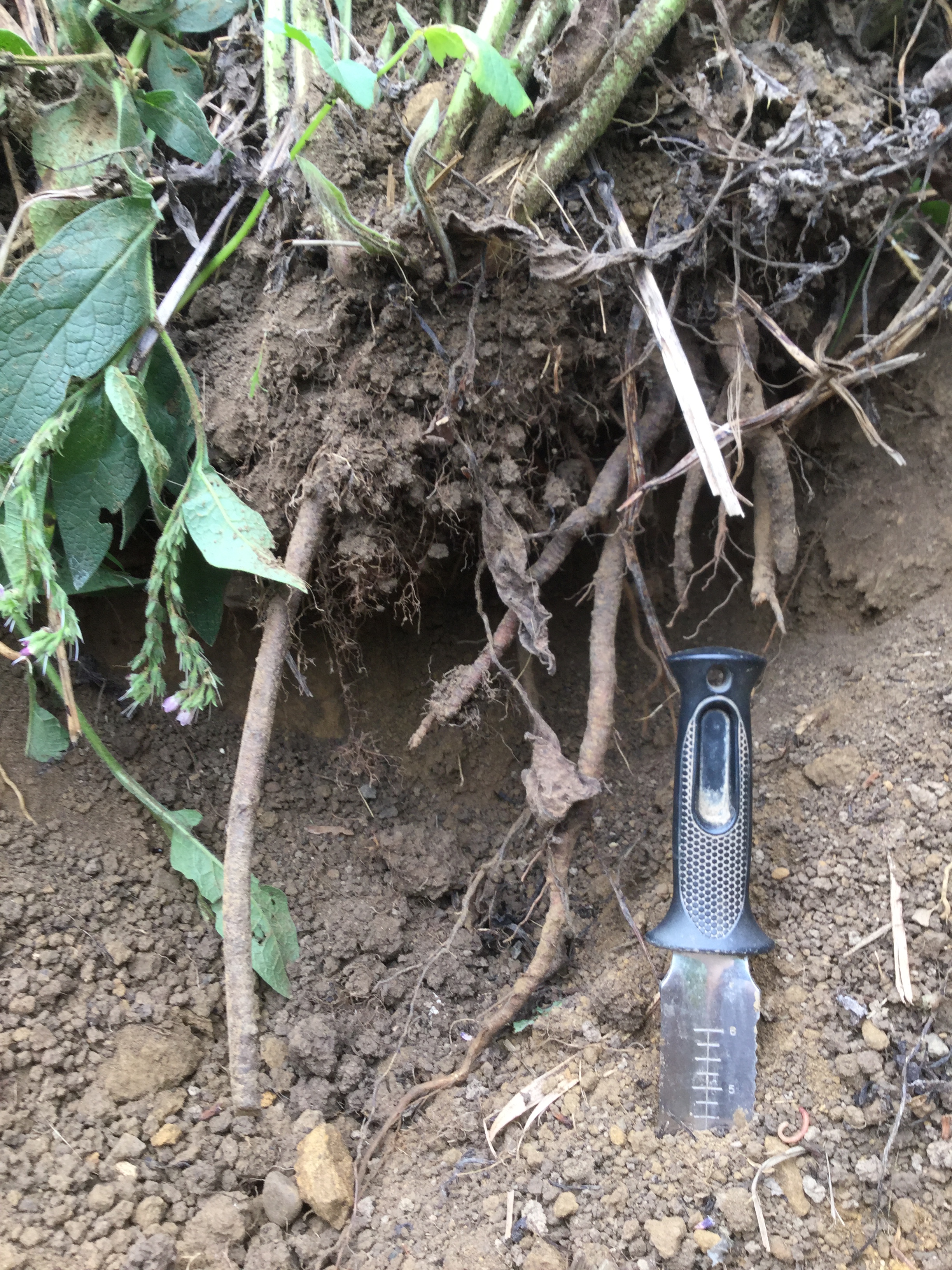 985928AC-7C37-4FC6-A16E-A695CA4736E8