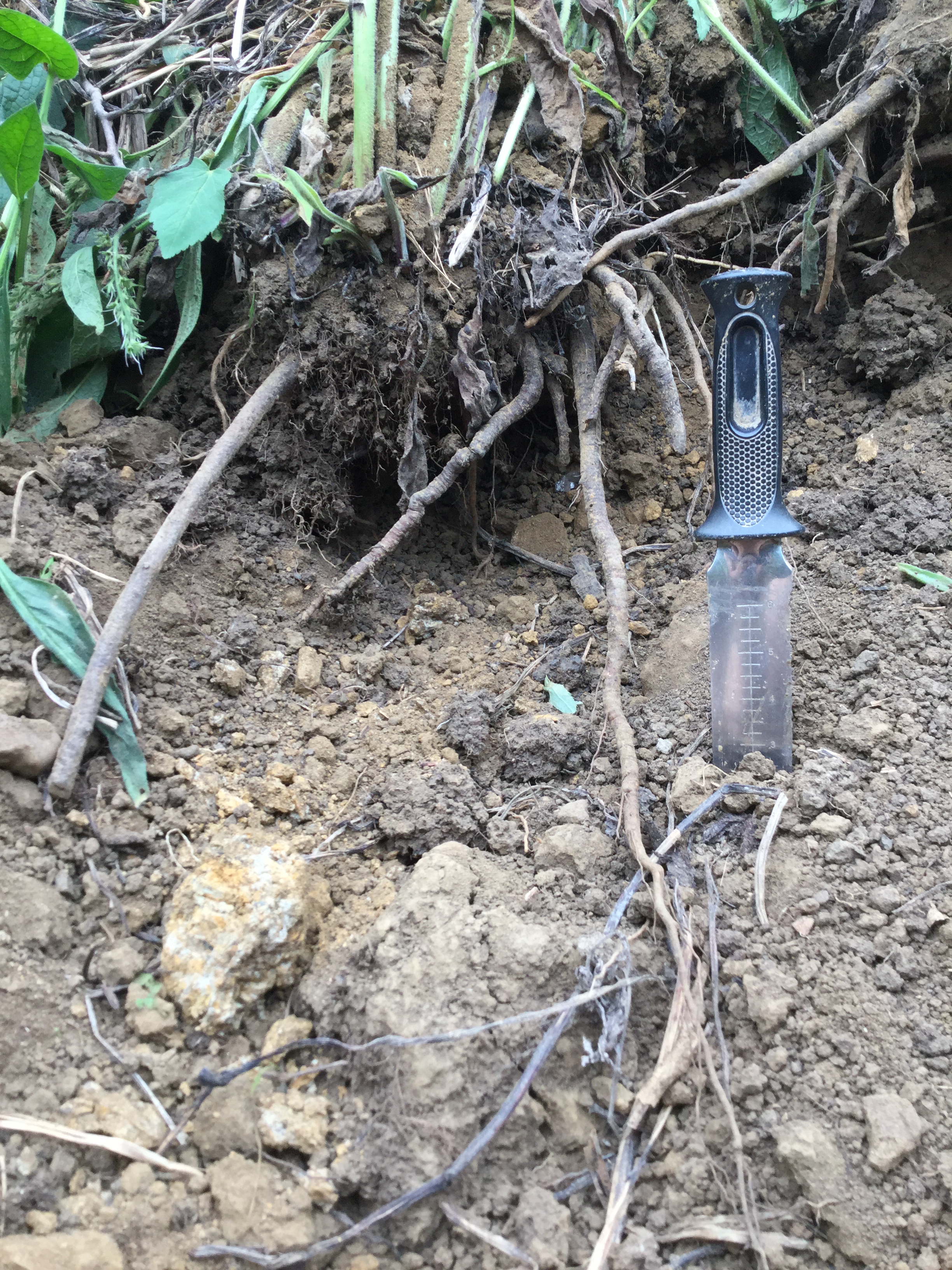 D82C12FB-A588-4295-B924-356D7FA5356A