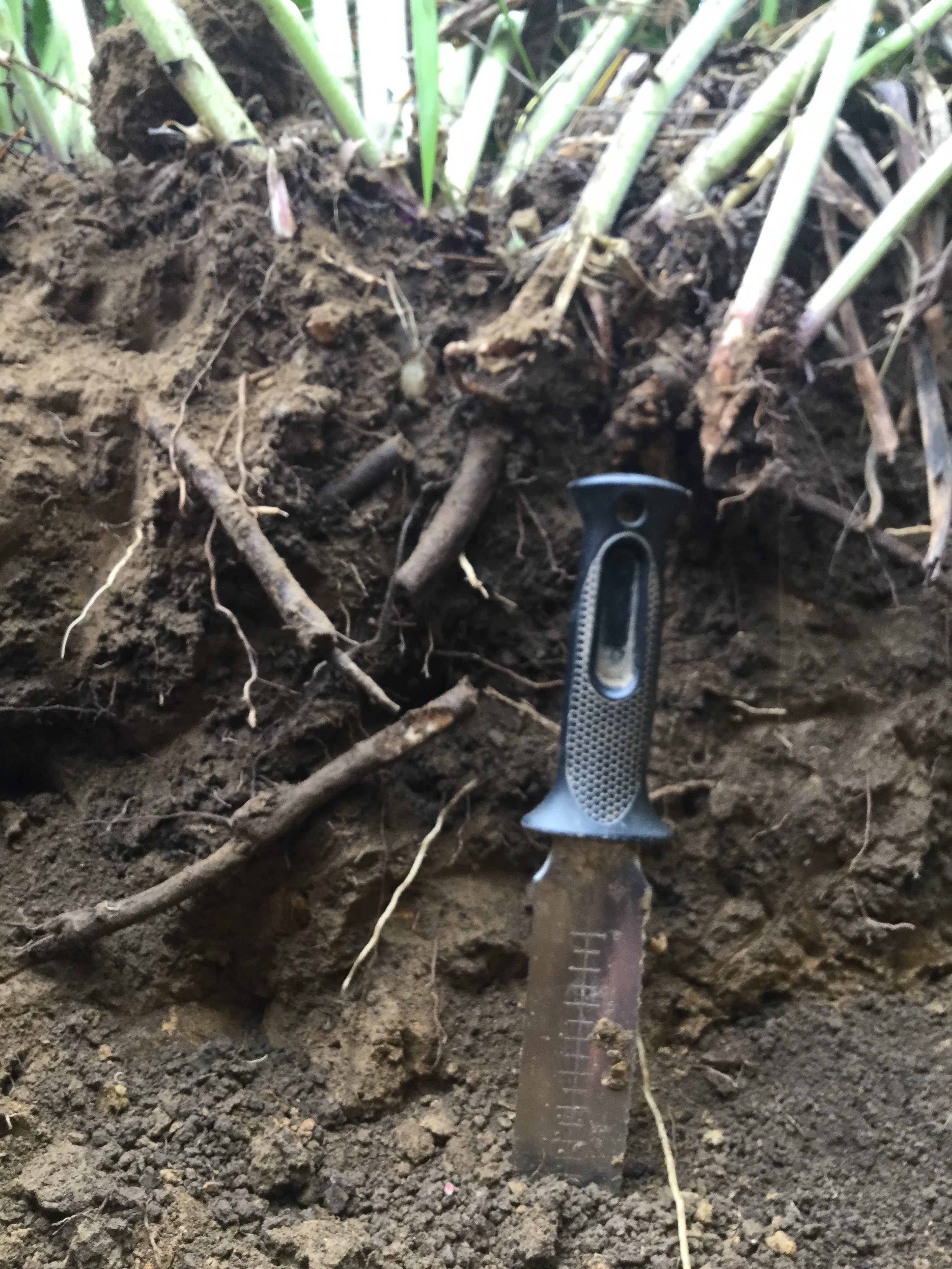 EF3B387D-3515-4B70-855C-A0E3047FB6FA